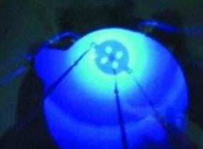 從進口到出口 我國國產鈷60放射源首次出海