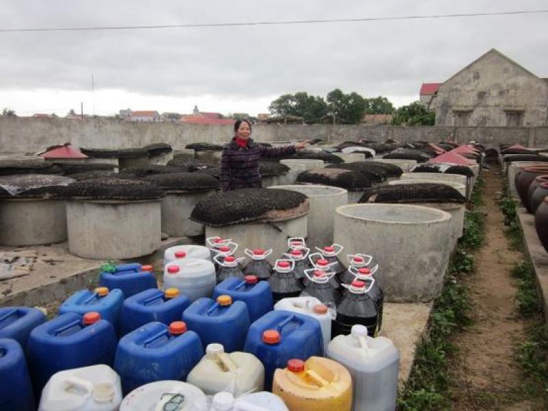 太陽(yáng)能技術(shù)在魚(yú)醬生產(chǎn)中的應(yīng)用