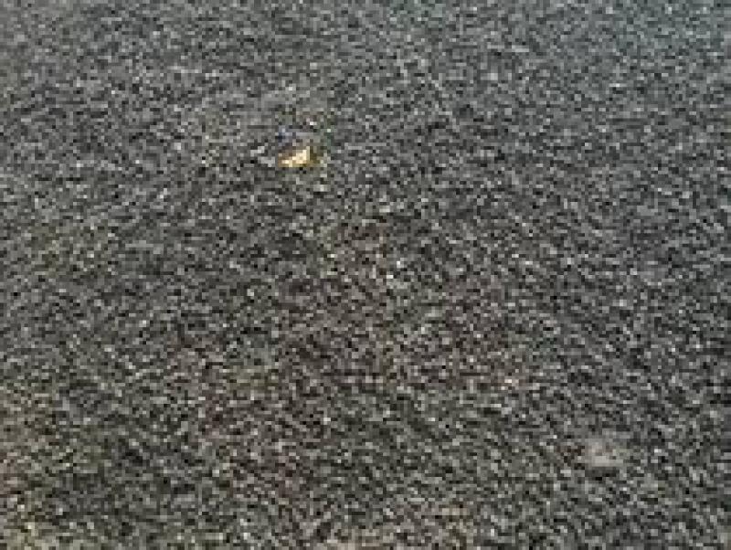 溪洛渡水電站：五年做好五件事