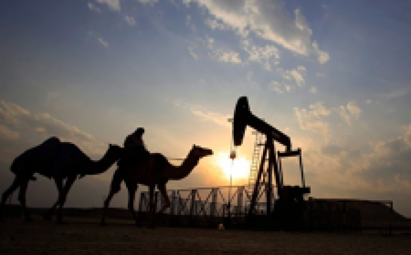 能源經濟學家表示，沙特阿拉伯原油進口到加拿大很容易取代