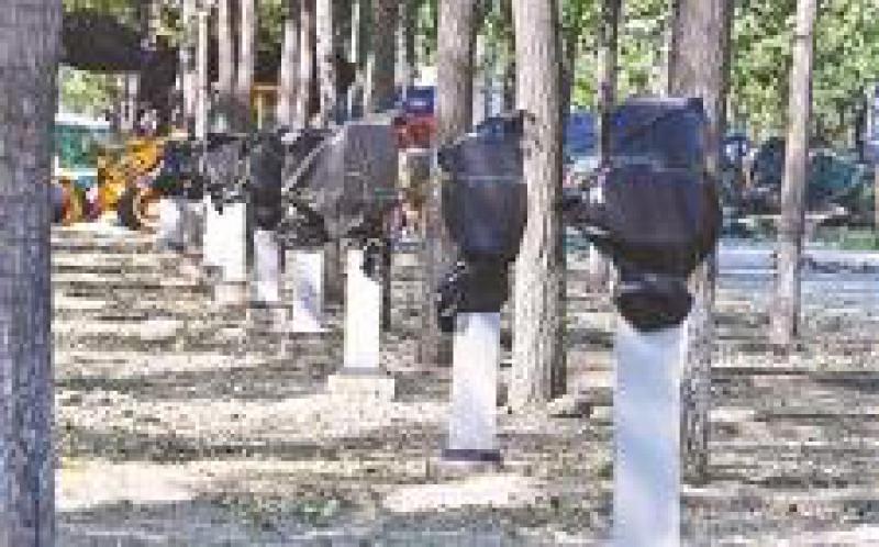 北京市正在研究公用充電樁考核政策