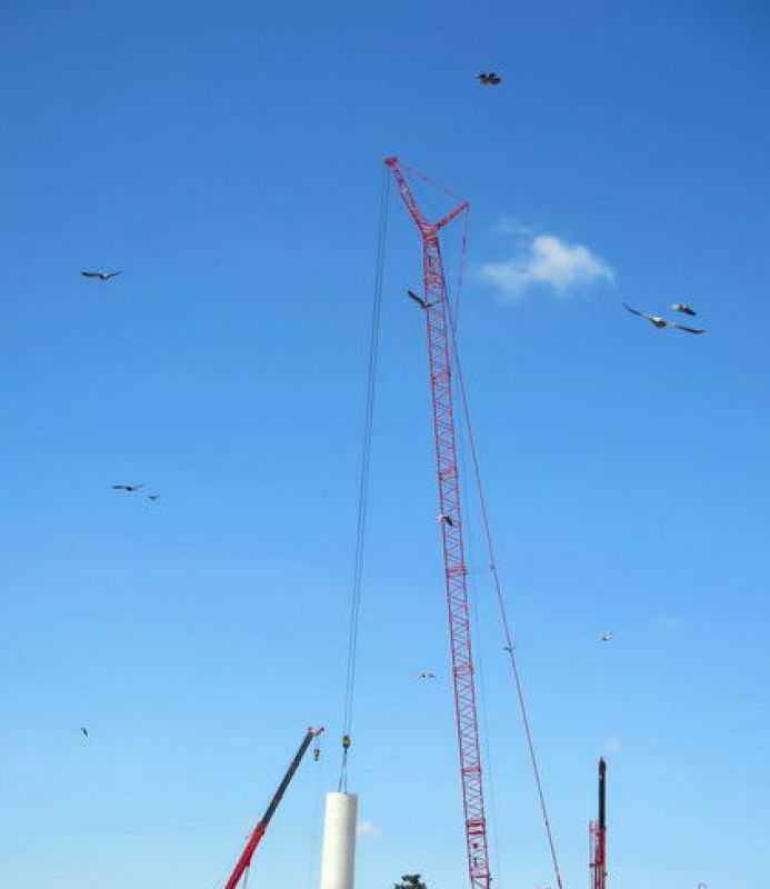 非洲第一大風電場阿達瑪風電場